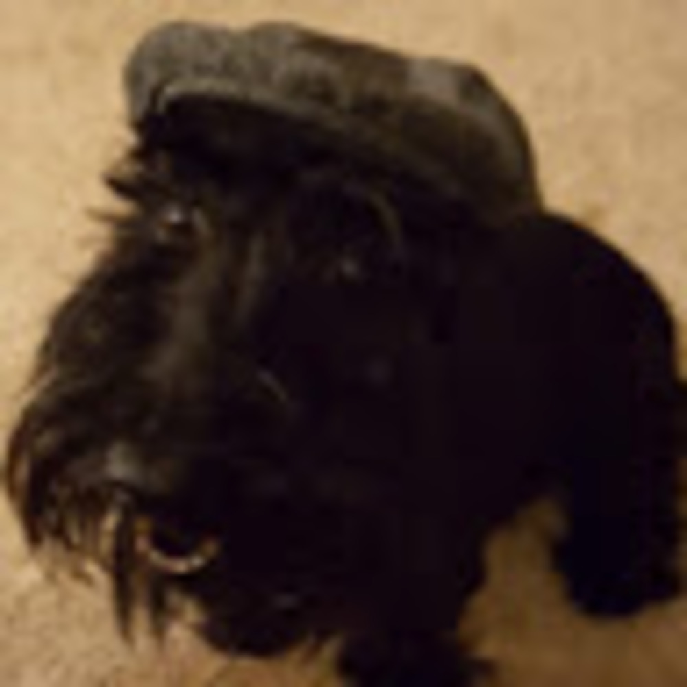 Meet your Posher, Duncan